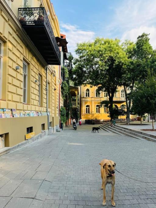 Apartment Cozy Art House In An Old Tbilisi